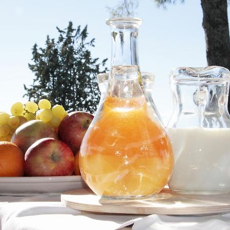 Locanda Delle Mura Anna De Croy Magliano in Toscana Dış mekan fotoğraf