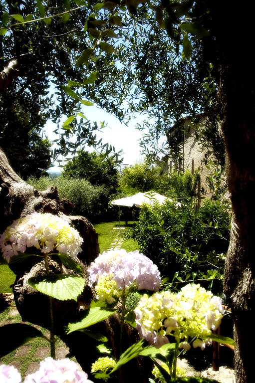Locanda Delle Mura Anna De Croy Magliano in Toscana Dış mekan fotoğraf