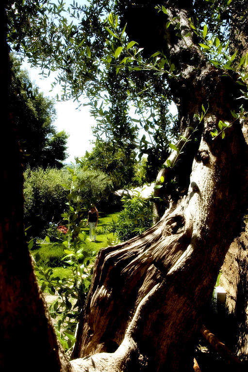 Locanda Delle Mura Anna De Croy Magliano in Toscana Dış mekan fotoğraf